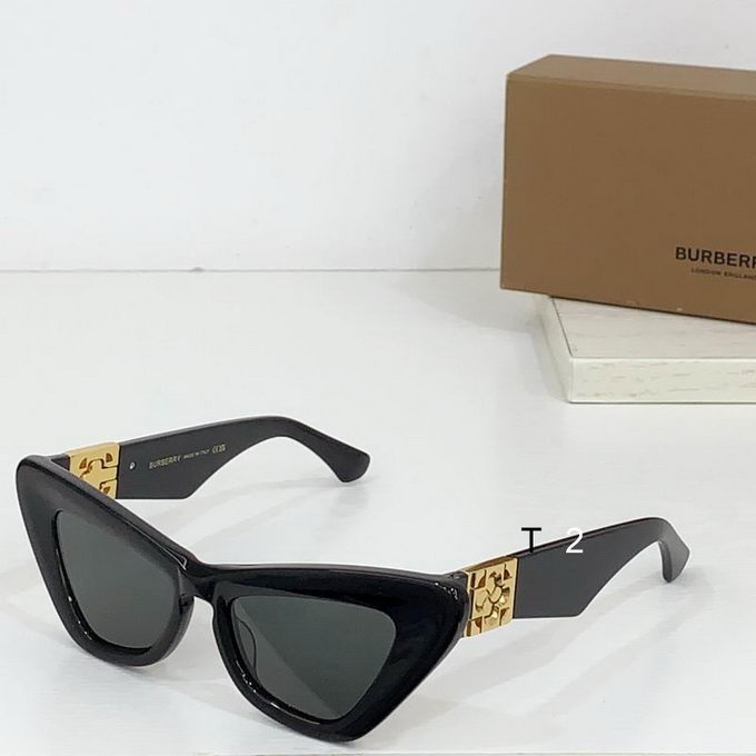 Burberry Sunglasses ID:20250529-77